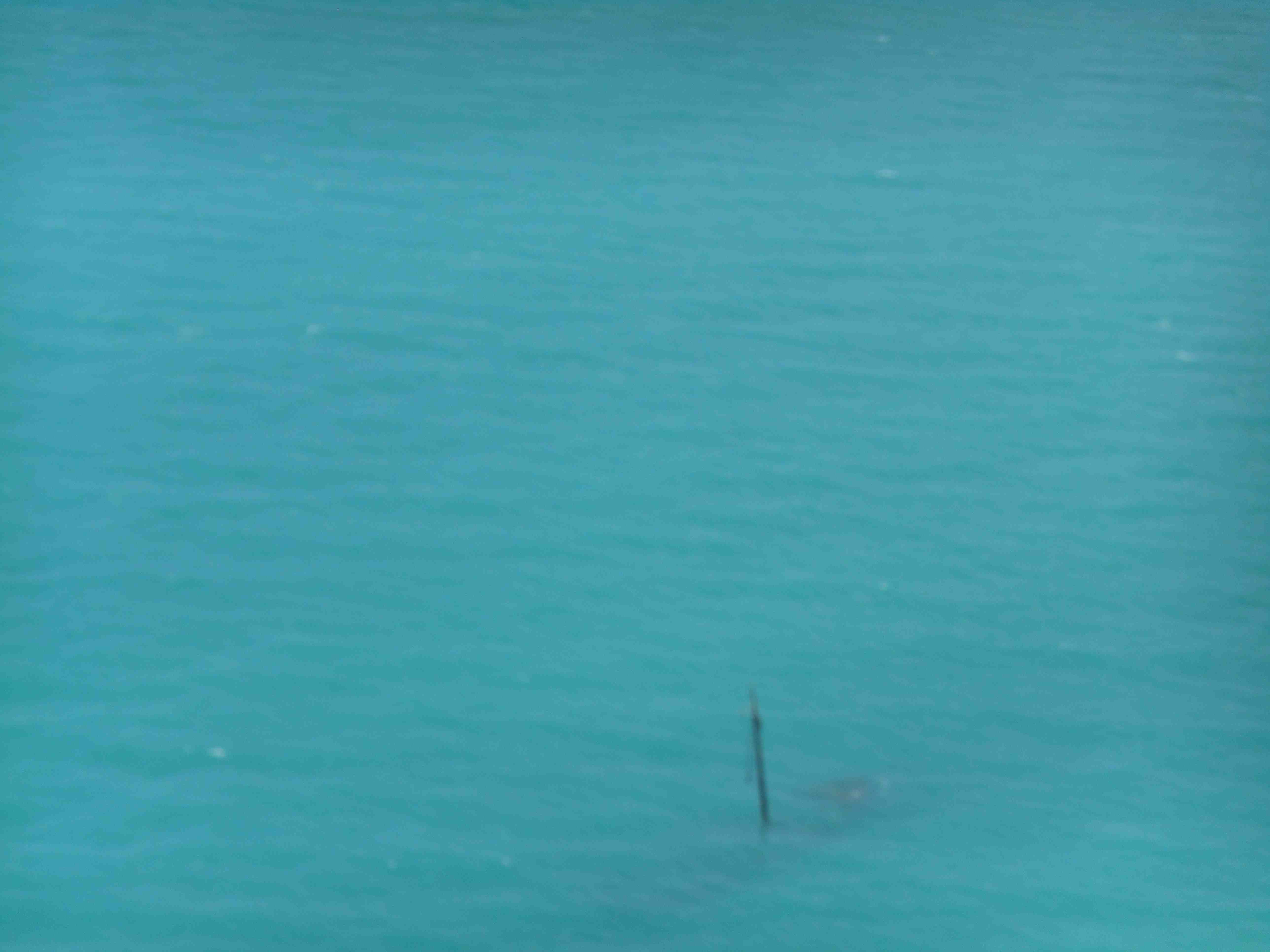 Shipwreck